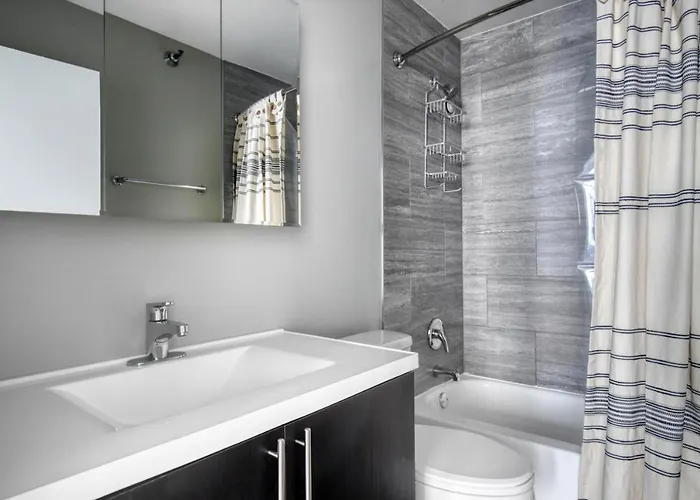 Gold Coast 2br W Gym Lounge 1 Block To L Chi-801 Chicago